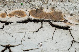 【土地家屋調査士の出番！】地震で土地がズレたらどうする？