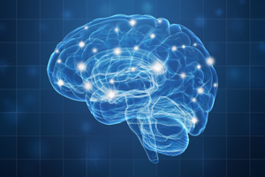 脳科学に基づく「効果的な勉強法」とは？
